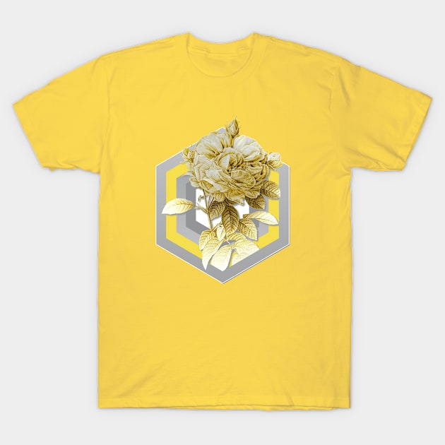 Botanical Illustration Giant French Rose in Gray and Yellow T-Shirt by Holy Rock Design